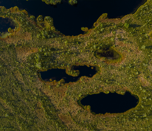 Het graf blijft onaangetast en bevindt zich altijd in een beschermd natuurgebied